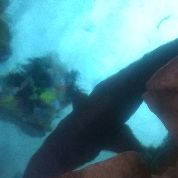 Profile Picture of Michael Krol jr (@juknowho) on Poshmark