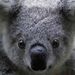 Profile Picture of FiveForce5 (@dylanjamesmlg) on Pinterest