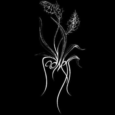 Profile Picture of Hugo Jauregui (@nosoyhu6o) on Twitter