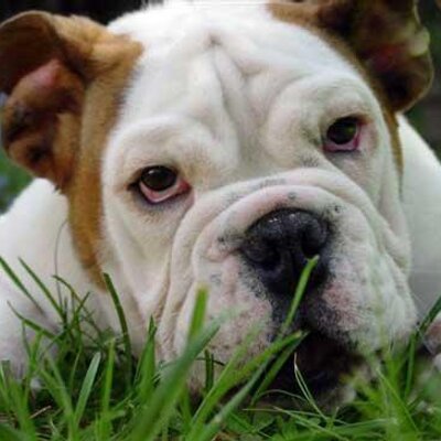 Profile Picture of Roxanne Mackenzie (@tmackenziewx) on Twitter