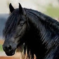 Profile Picture of Jessica Pemble (@jessica-pemble) on Quora