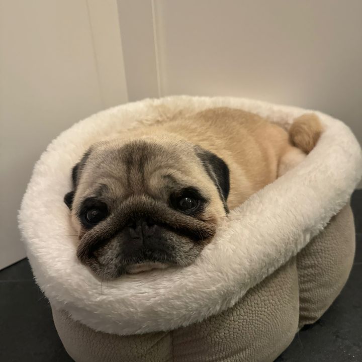 Profile Picture of abbycohenn (@abbycohenn) on Tiktok