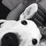 Profile Picture of Amir (Hator) Gračić (@hator___) on Instagram