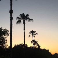 Profile Picture of Iris Castaneda (@iris-castaneda-3) on Quora