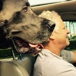 Profile Picture of Paul Edenbaum (@pauledenbaum) on Instagram