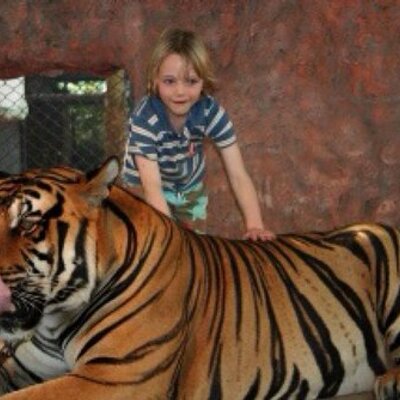 Profile Picture of Rafewilliams (@rafewilliams1) on Twitter