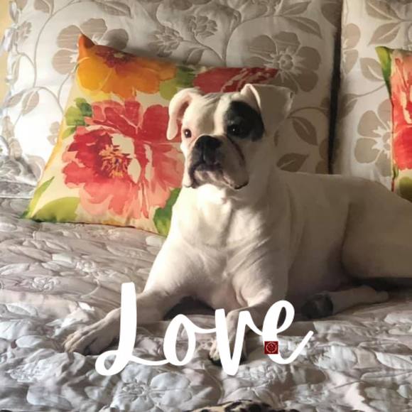 Profile Picture of Michael Aimers (@michaelaimers) on Poshmark