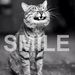 Profile Picture of Joanne Clune (@clunejoanne) on Pinterest