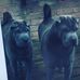 Profile Picture of Paul Hegan (@paul.hegan.357) on Facebook