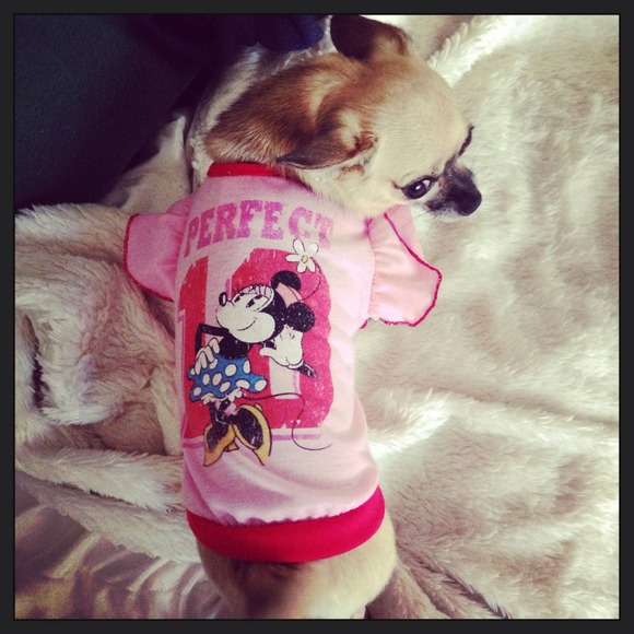 Profile Picture of Crystal Lengenfelder (@maddysmom2013) on Poshmark