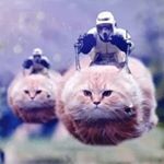 Profile Picture of Isaac Winters (@izzyfizzy04) on Instagram