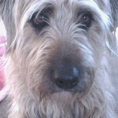 Profile Picture of Mark Fuller (@markfuller86) on Twitter