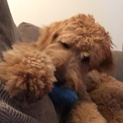 Profile Picture of Blue Ivy Fung (@BlueIvyFung) on Twitter