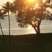 Profile Picture of Marcia Lichtenauer (@mldigitize) on Pinterest