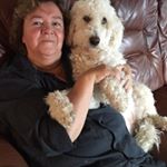 Profile Picture of Inger Eriksson Liljegren (@ingererikssonliljeg) on Instagram