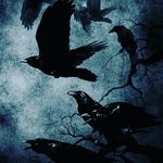 Profile Picture of Brendan (@_brendan_garrett) on Instagram