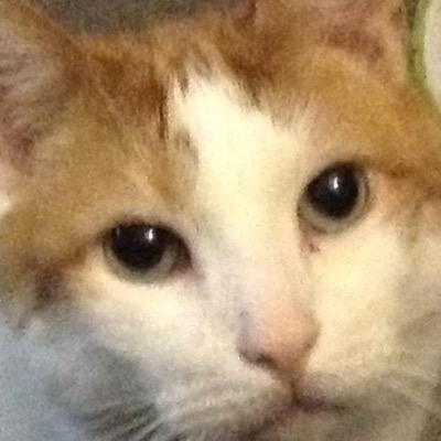 Profile Picture of TheFeardBanana (@CollinHudson3) on Twitter