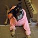 Profile Picture of Christine Coolidge-Strauch (@chickiemonkkey) on Pinterest