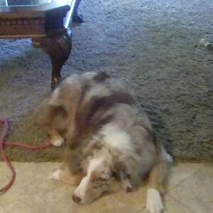 Profile Picture of Peter McCusker (@chattery) on Tiktok