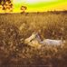 Profile Picture of Harold Harding (@harold.harding.967806) on Facebook