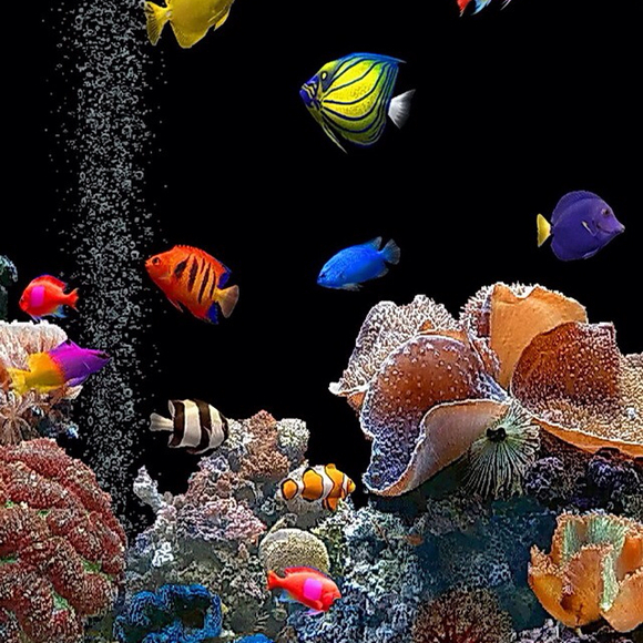 Profile Picture of Tammy Chaney (@diddle73) on Poshmark