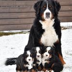 Profile Picture of Coley jones (@coley_gabriel_jones) on Instagram