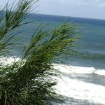 Profile Picture of Isabelle Mouton- Ponsonnaille (@mtn.isa) on Instagram