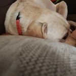 Profile Picture of Pablo Gonzales (@pablo_g.23) on Instagram