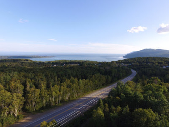 Profile Picture of Joshua Yorio (@yoriojoshua) on Poshmark