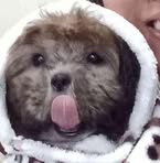 Profile Picture of Cooper Nigel Mañamosa (@cooper.nigel.manamosa) on Facebook