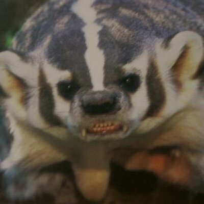 Profile Picture of Tom Beeson (@TAB_Newark) on Twitter