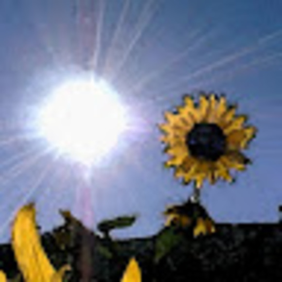 Profile Picture of Beverly Graham (@solsparkle4444) on Poshmark