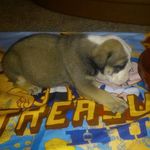 Profile Picture of wanmekhatchett (@justinhatchett123) on Instagram