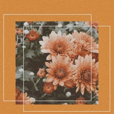 Profile Picture of Iris Cornejo (@IrisCornejo18) on Twitter