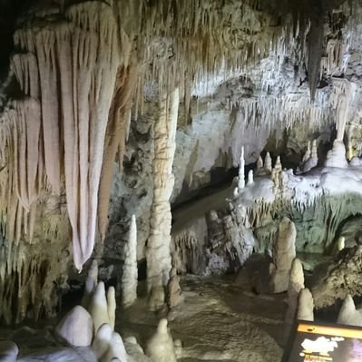 David Guell - Twitter Profile Picture of David Guell (@DavidDgb4468) on Twitter