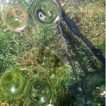 Profile Picture of Nicholas Reitz (@nick.reitz) on Instagram