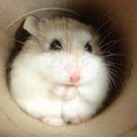 Ariana Brice - Quora Profile Picture of Ariana Brice (@ariana-brice) on Quora