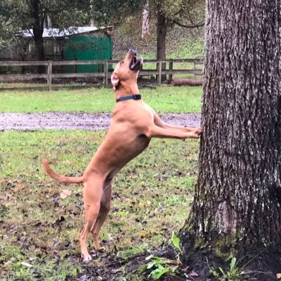 Profile Picture of Adam Ogle (@AdamOgle5) on Twitter