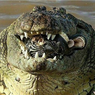 Profile Picture of Jeremiah Farmer (@Jeremiahf76) on Twitter