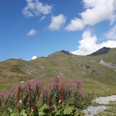 Profile Picture of Daboval Corentin (@DabovalC) on Twitter