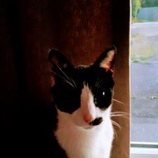 Profile Picture of Bryan  Mcfadyen (@McfadyenBryan) on Twitter