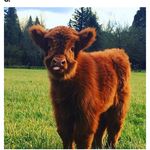 Profile Picture of Gregory Petershack (@gpetershack) on Instagram