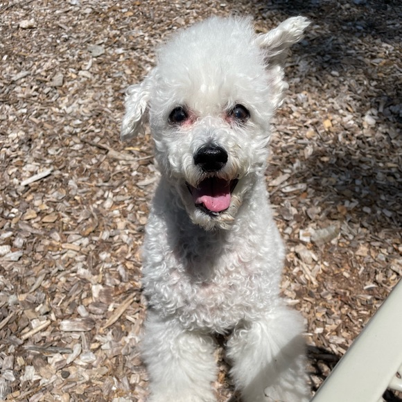 Profile Picture of Jessica Bailey (@jayybee1221) on Poshmark