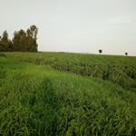 Profile Picture of Alexo Reta (@alexoreta) on Instagram