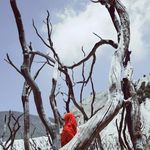 Pams - Instagram Profile Picture of Pams (@annisapamela) on Instagram