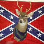 Brandon Sherrod - Instagram Profile Picture of Brandon Sherrod (@brandon.sherrod) on Instagram