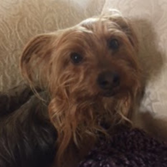 Profile Picture of Philip G (@pgoguejr) on Poshmark