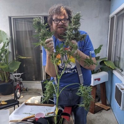 Profile Picture of ChrisWeed (@ChrisWeed619) on Twitter