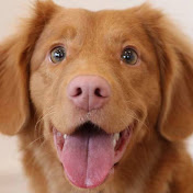 Profile Picture of Michael Co (@michaelco6561) on Youtube