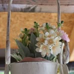 Profile Picture of Thora Becker (@Thora-Becker) on Facebook